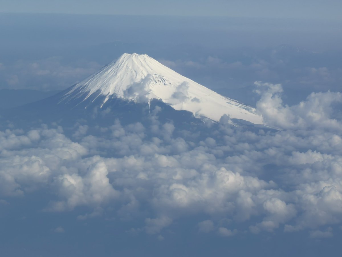 Morley(モーリー)👩🦰 tweet media