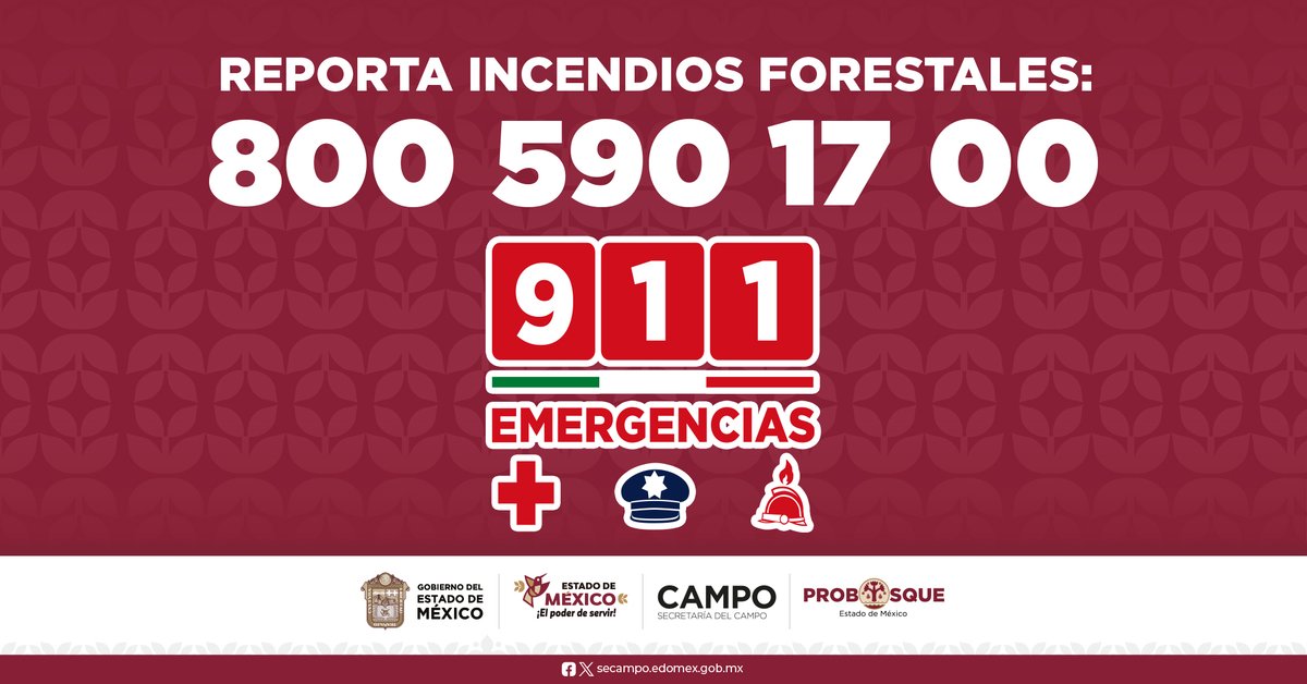 PROBOSQUE tweet media