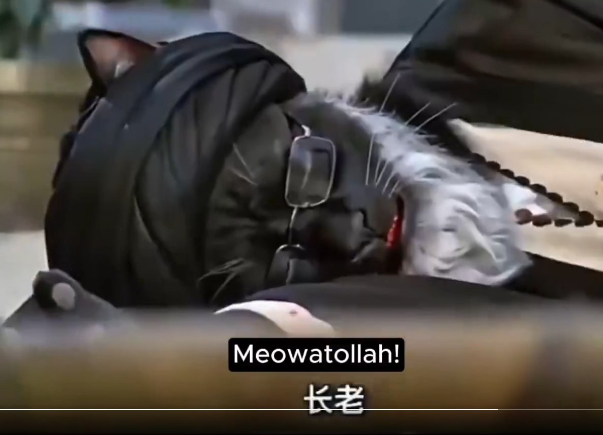 Kaiserfish tweet media