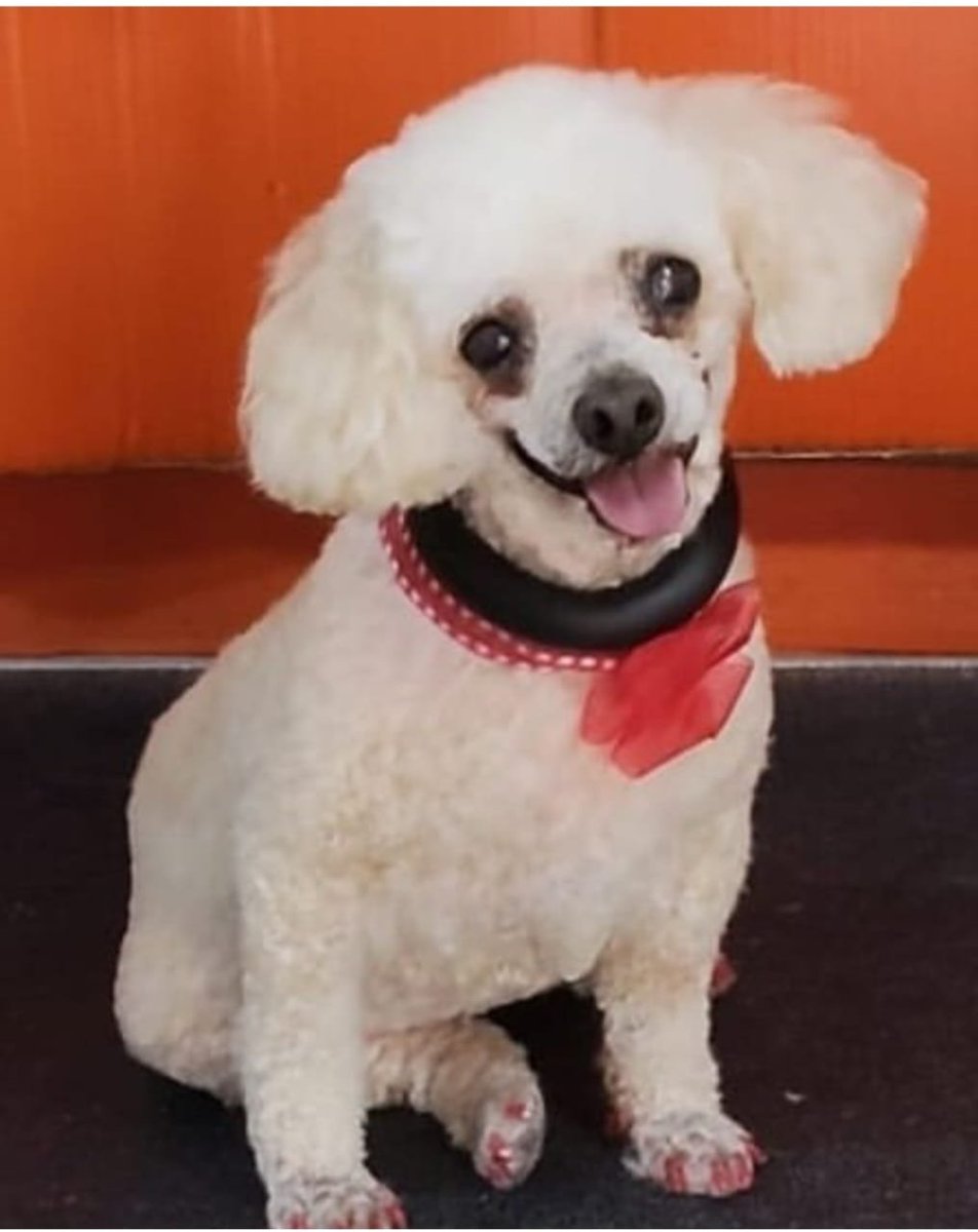 🅰️rtemio García Díaz (Αρτέμιος) tweet media