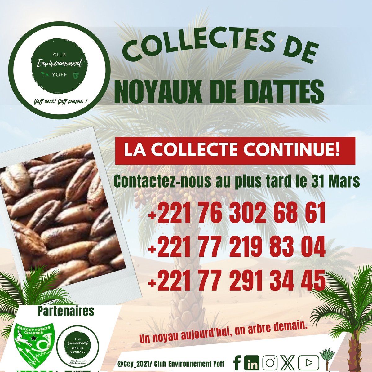 Club Environnement Yoff tweet media