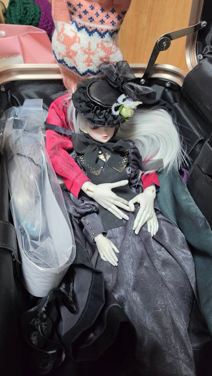 화요일 취미파티 모임이라 인형을 챙겼습니다. 거의 반 년 넘게 못 꺼낸 친구들을 꺼내 보았어요. 의상은 비아c님과 BOP 샵에서.