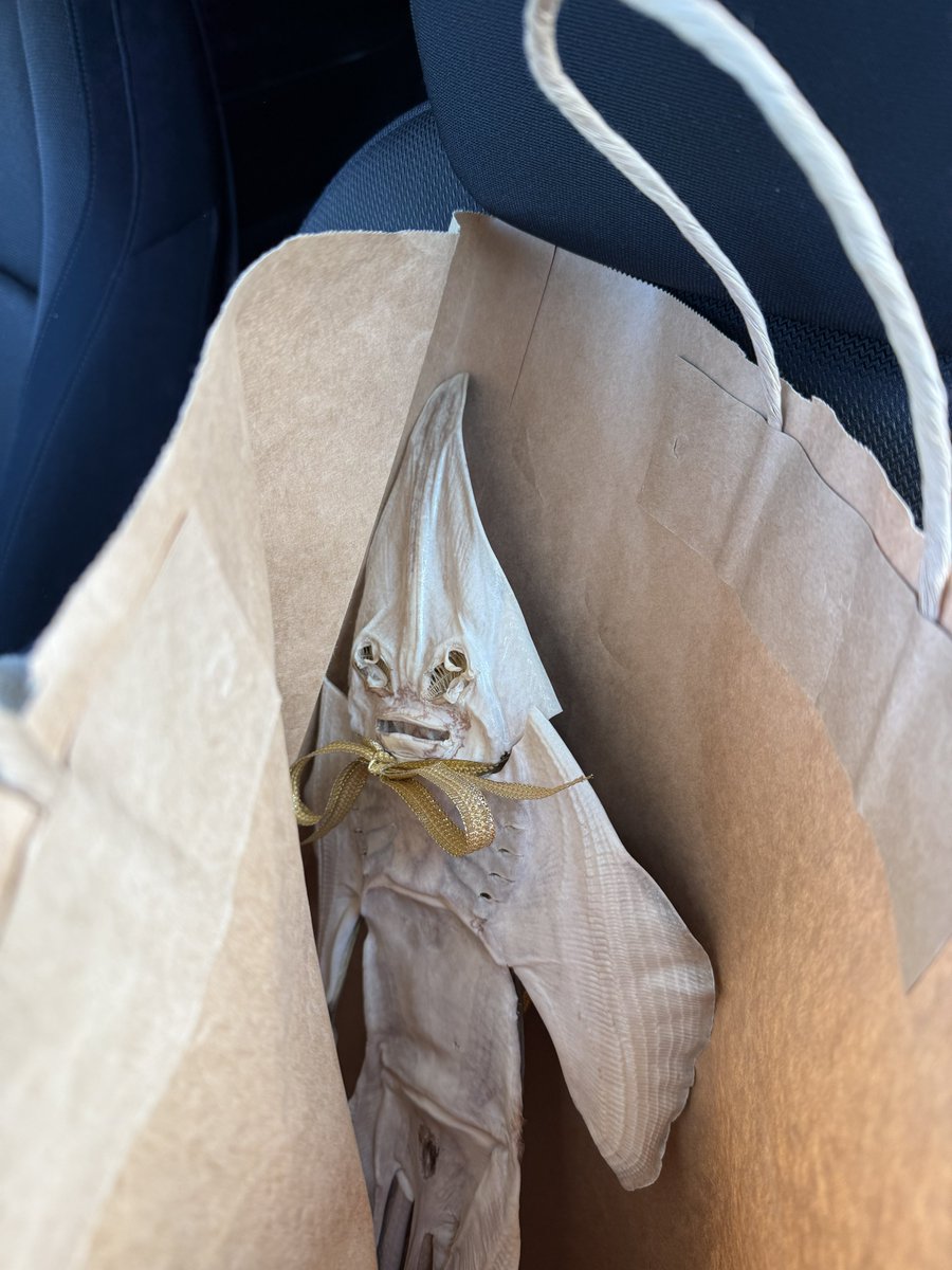 シャレコーベ・ミュージアム tweet media