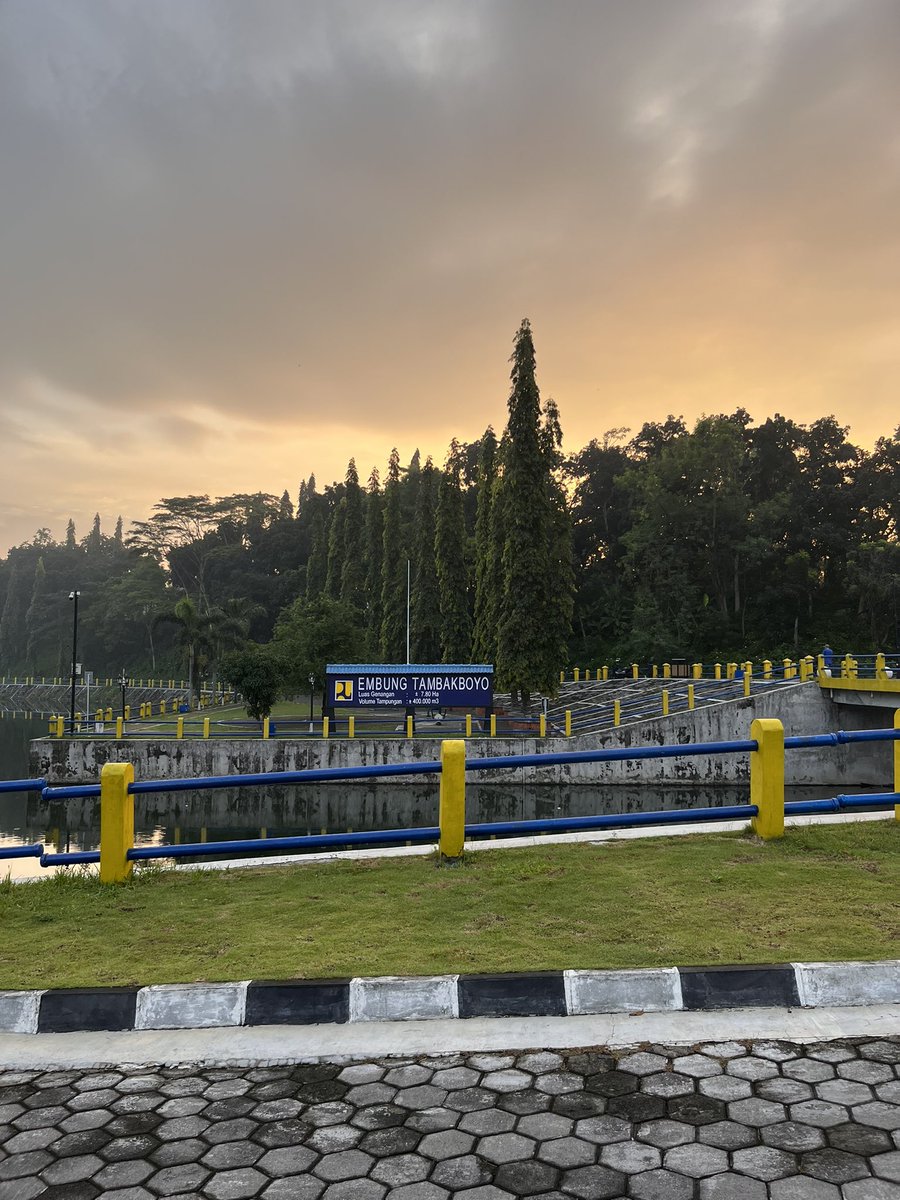 Sndy🦭 tweet media