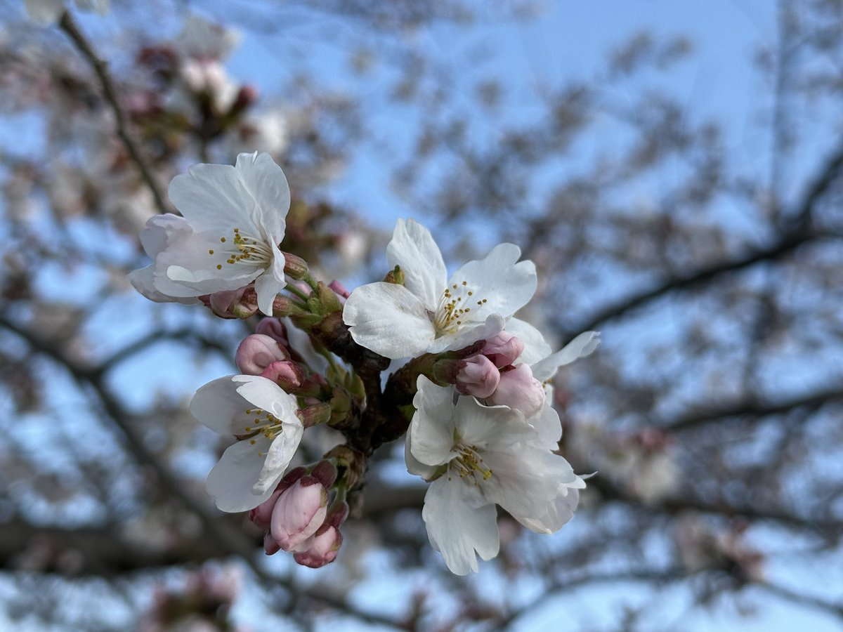 そで@AØG tweet media