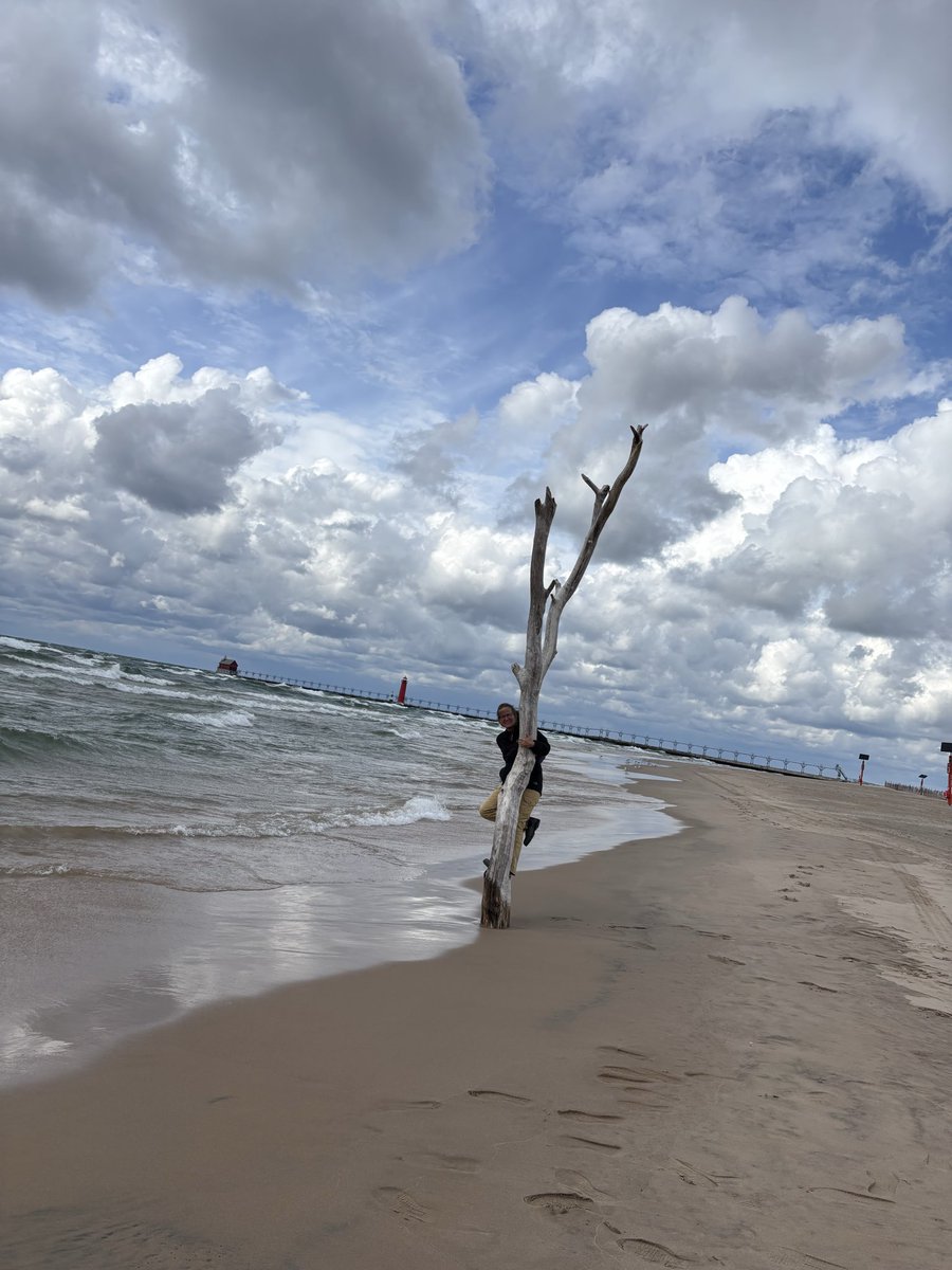 Stacey MacArthur tweet media