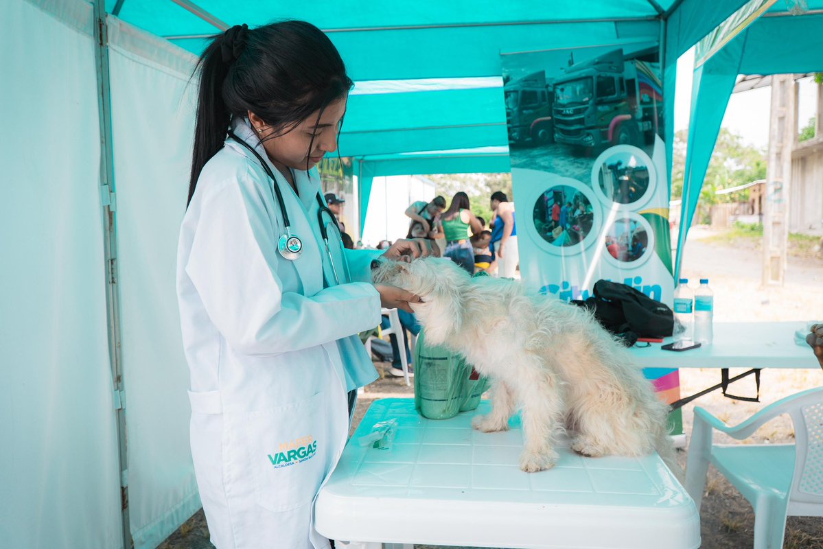 Mafer Vargas 🇪🇨 tweet media