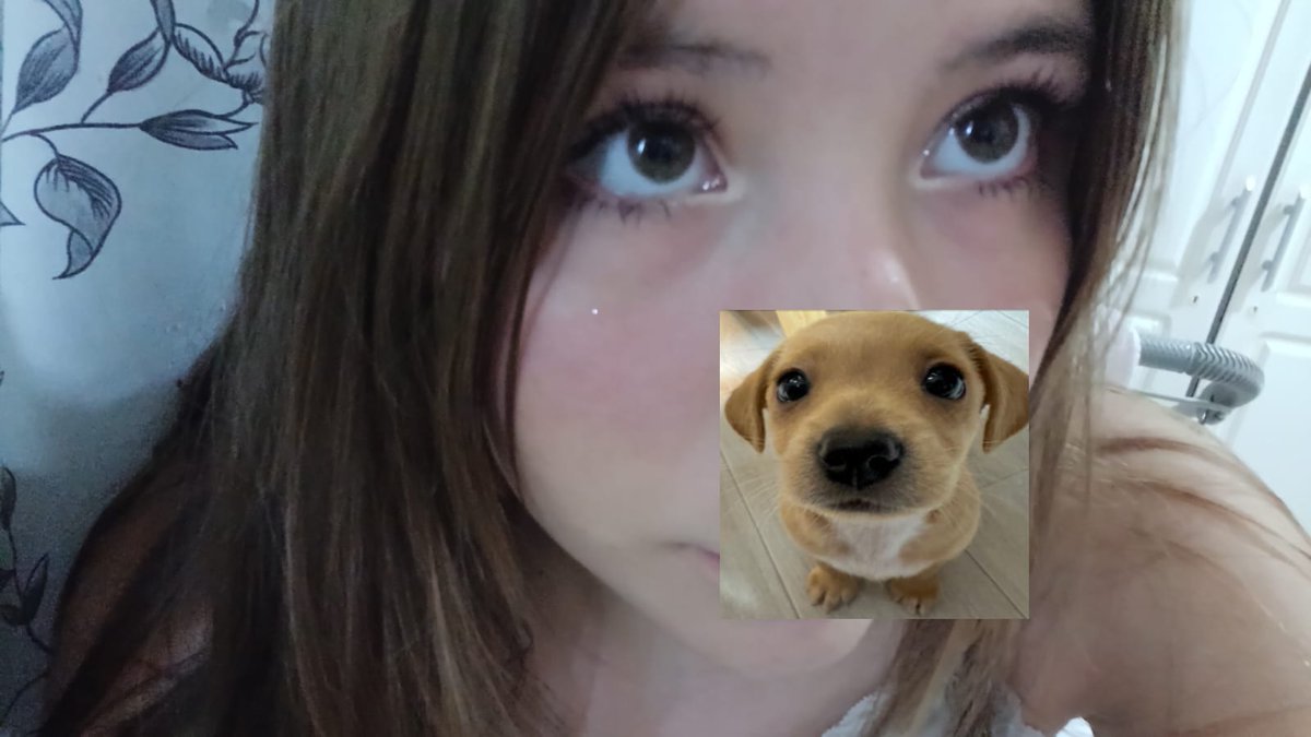 lia ୨ৎ tweet media