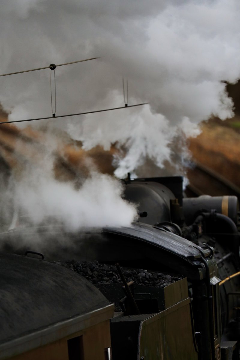 写庵@C108申込完了 tweet media