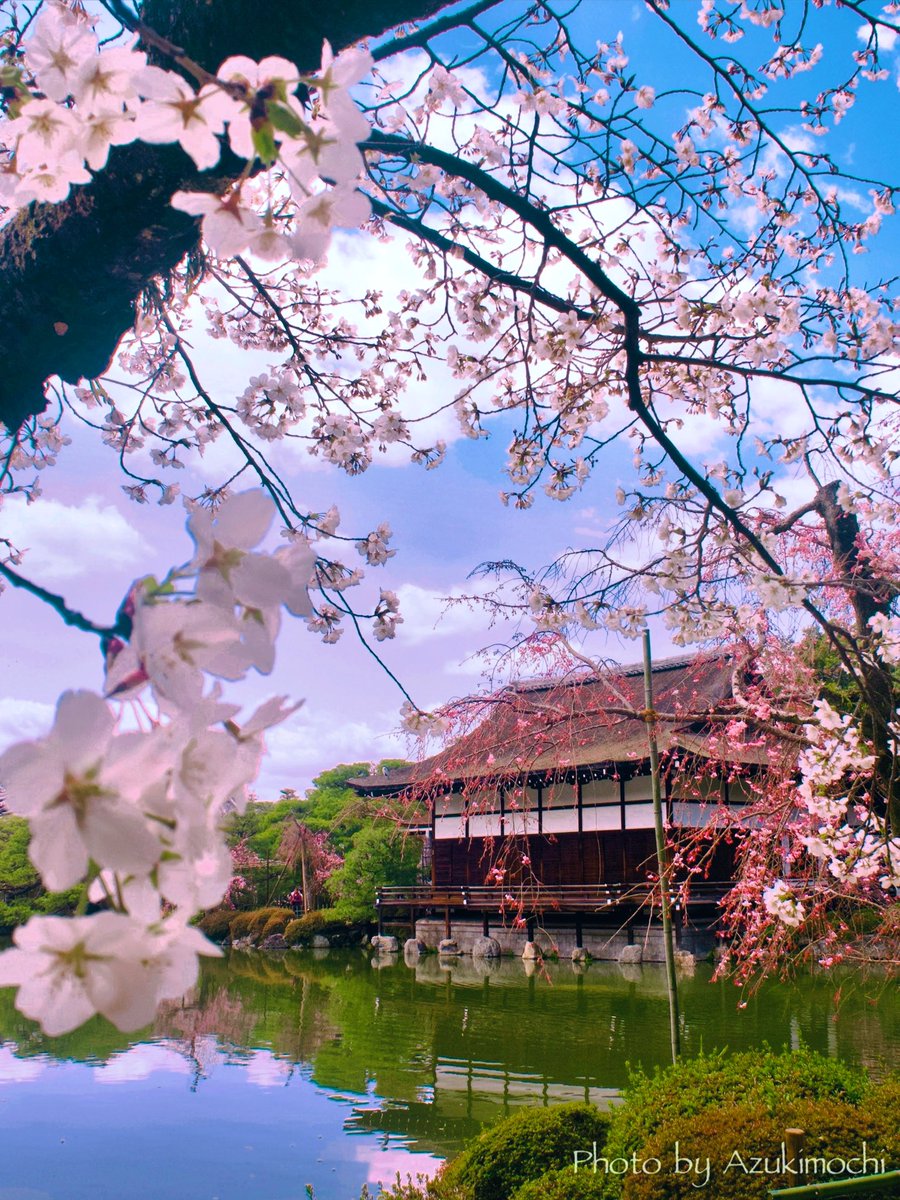 小豆餅乃Another Room tweet media