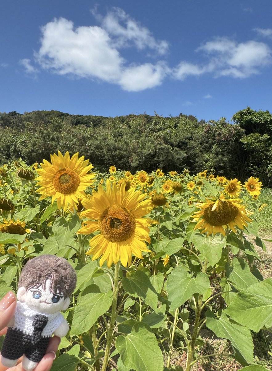 明日は…
CHEN<Arcadia> in KUALA LUMPUR🇲🇾
🔜楽しんでね‼︎‼︎

恋しい🌺沖縄OKINAWA🏝️🌼
Arcadia 💛
 #CHEN #첸