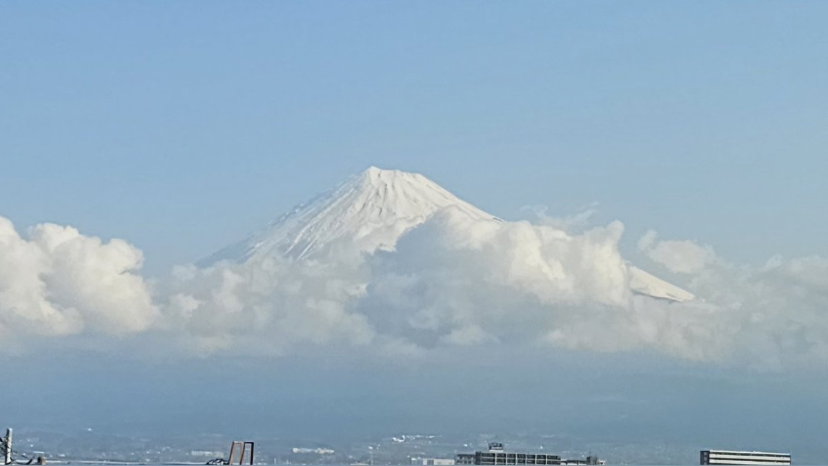 せりか tweet media