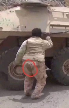 Wascemal tweet media