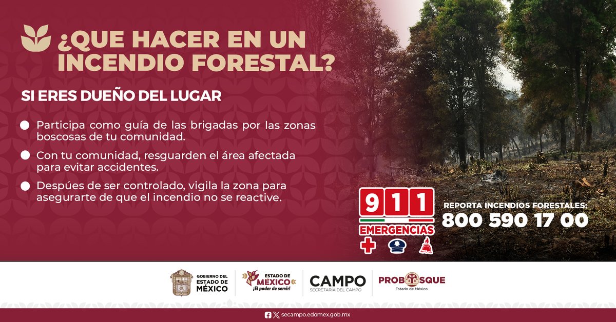 PROBOSQUE tweet media