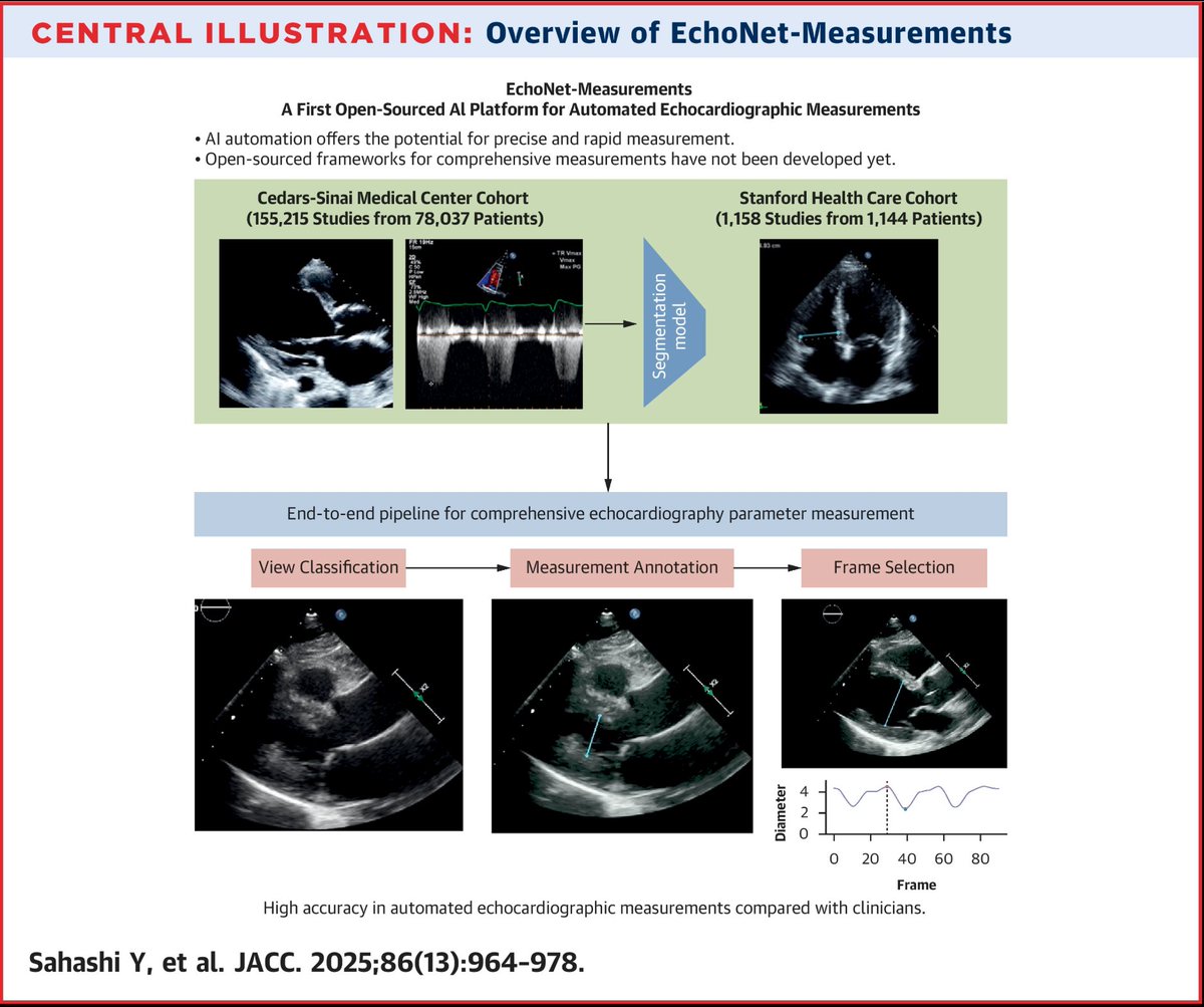Yuki Sahashi tweet media