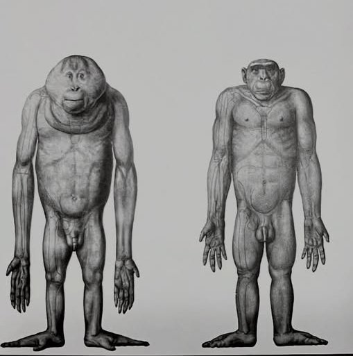 Mimany🅱️aker tweet media