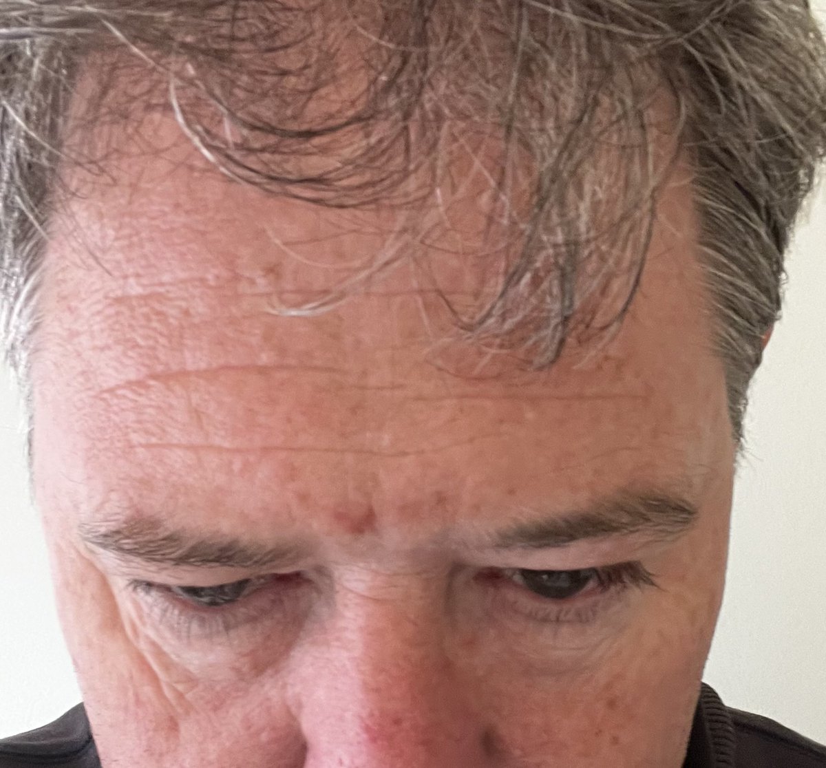 Matthew Scanlon tweet media