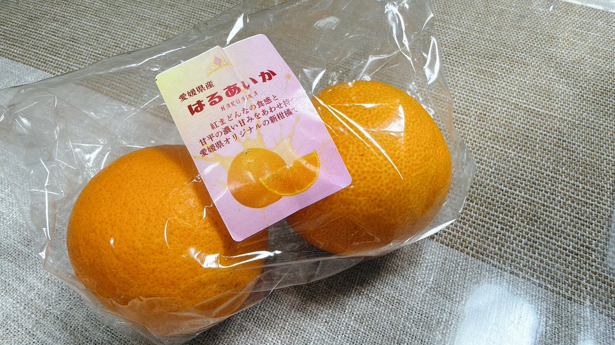 水瀬まなみ tweet media