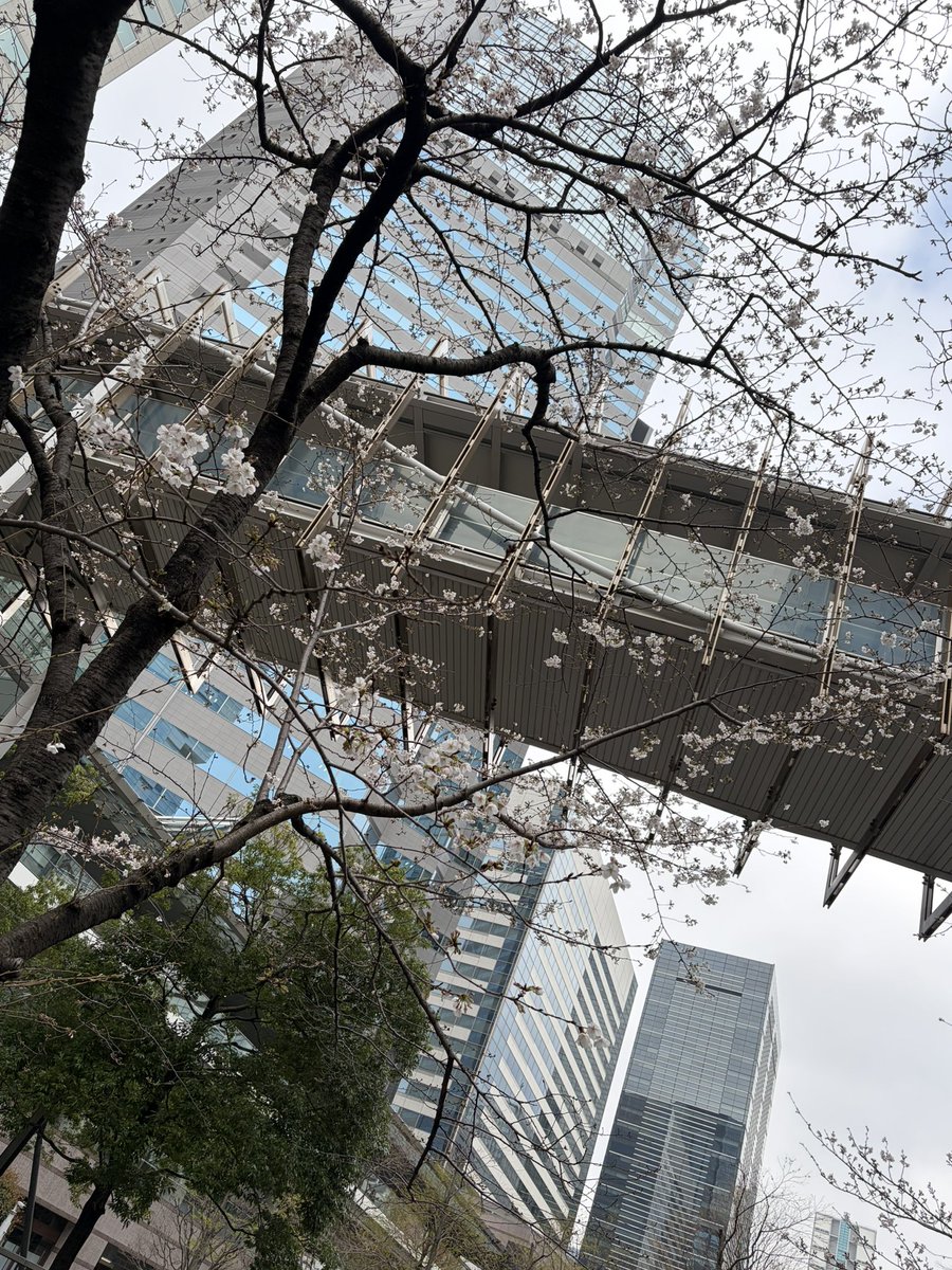 いずむ tweet media