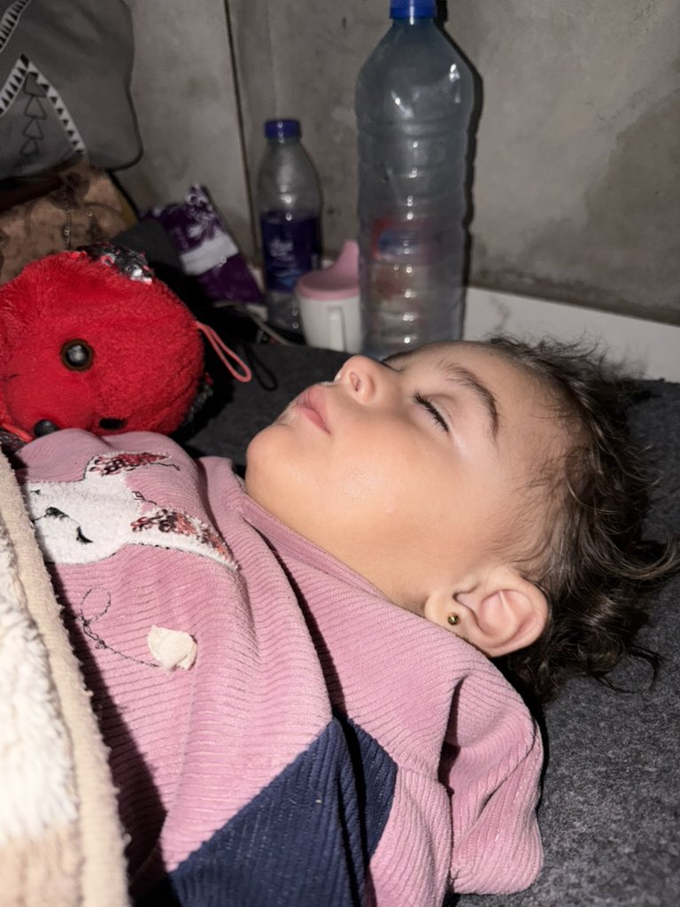 Mohammed jawad 🇵🇸 tweet media