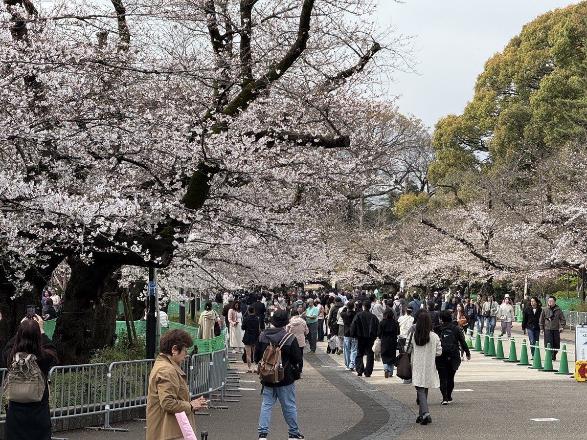 masanaga tweet media