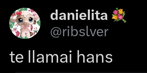 danielita 💐 tweet media