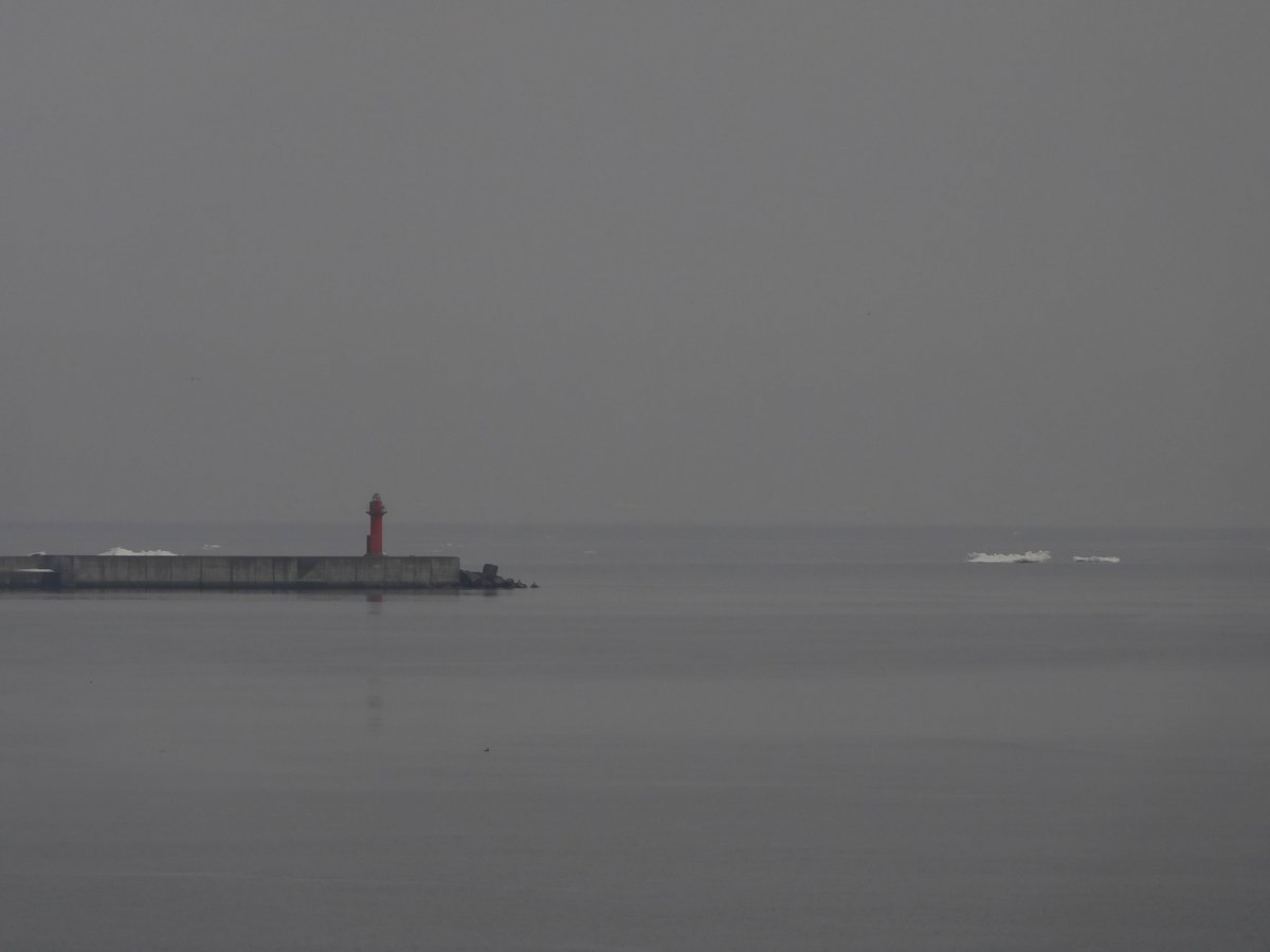 ryuhyonow_'s tweet photo. 3月28日
水平線に見えていた流氷はありませんが、少数がまばらに漂っています。(GIZA) https://t.co/yBPbF3OSao