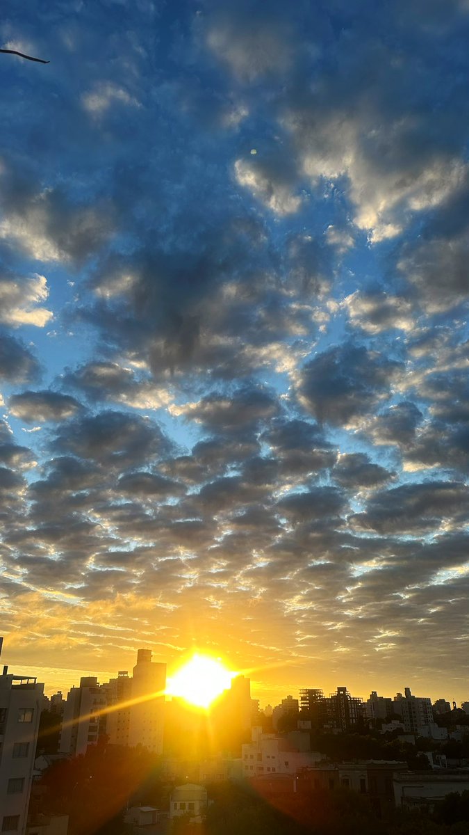 Andre 🐣 tweet media