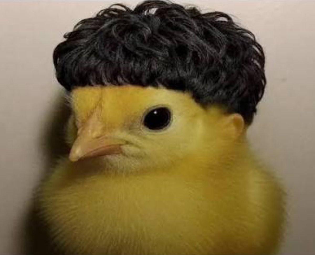 LUNA 🌒 tweet media