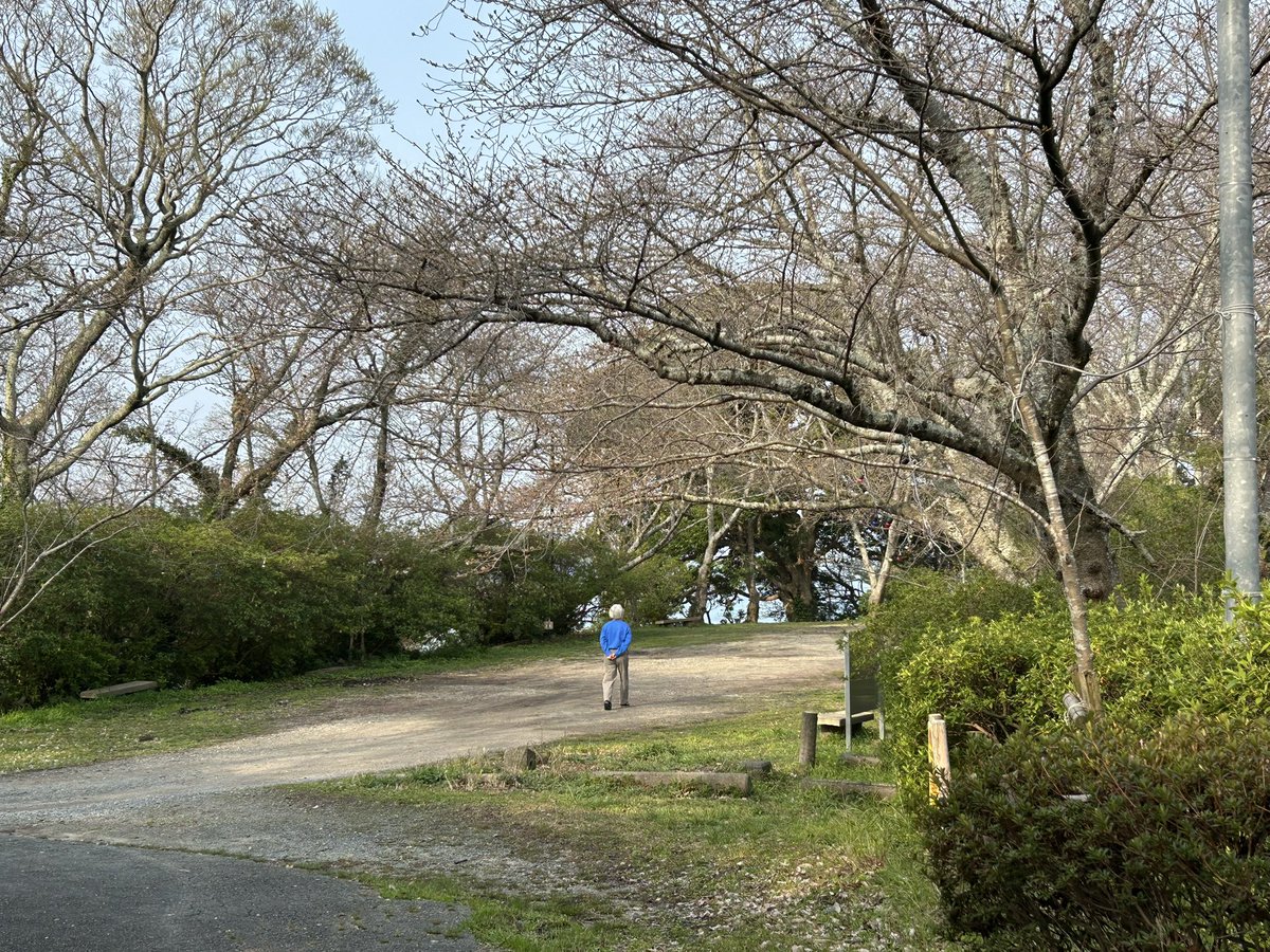 のび工房 tweet media