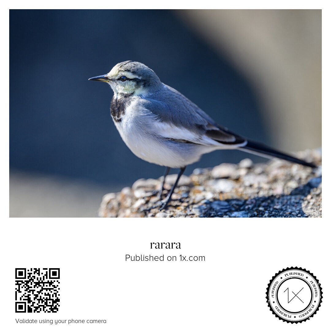 ららら♪📸🕊𓂃𓂂𓏸♡ tweet media