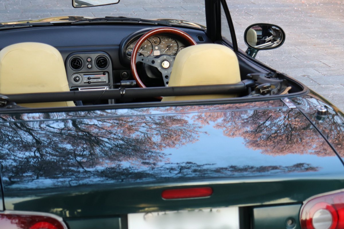 らいふろど tweet media