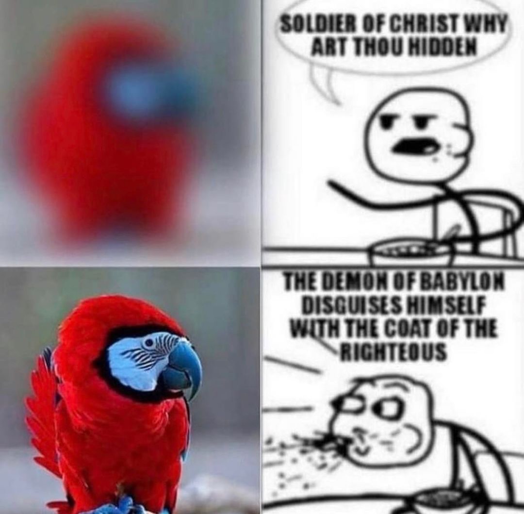 brainrot dimension tweet media