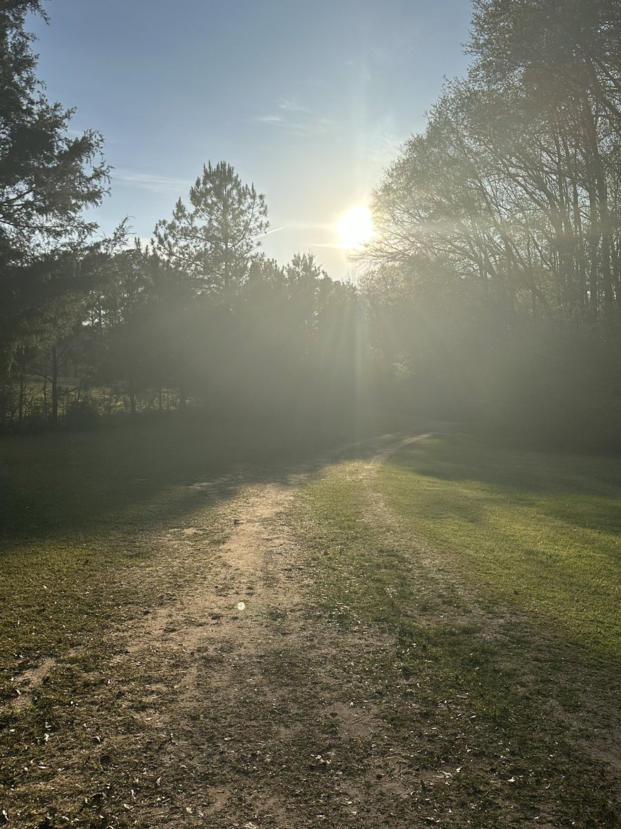 babygirl jackson tweet media