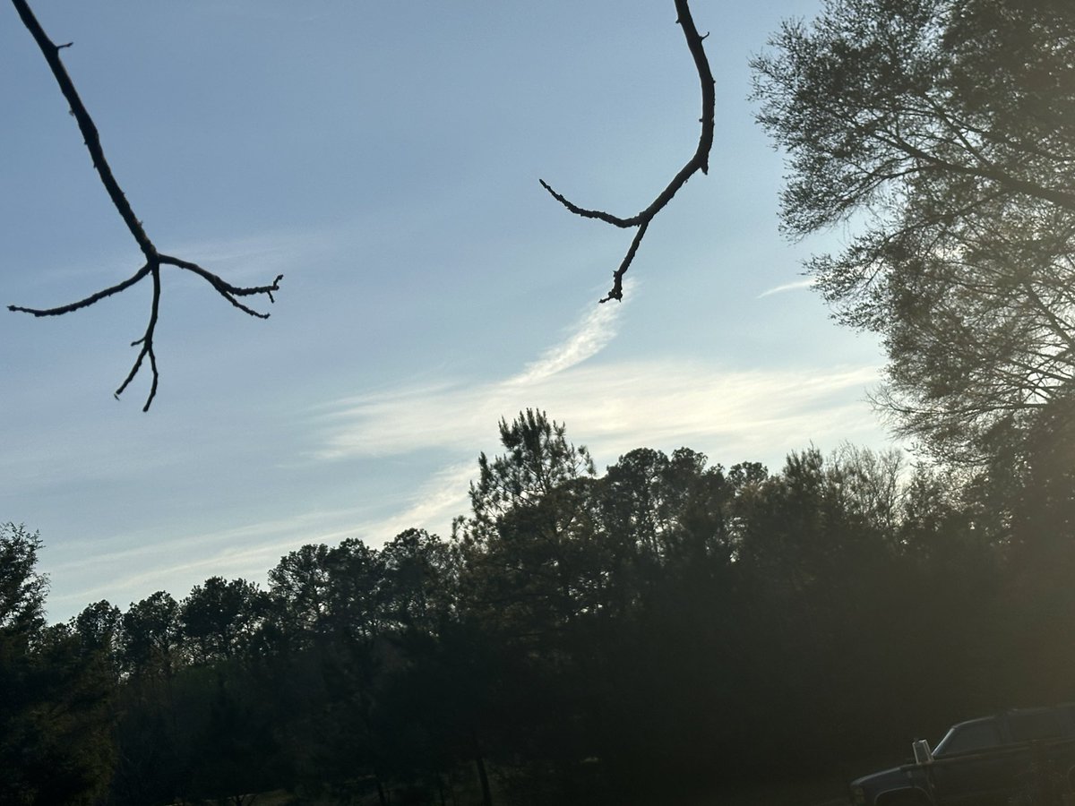 babygirl jackson tweet media