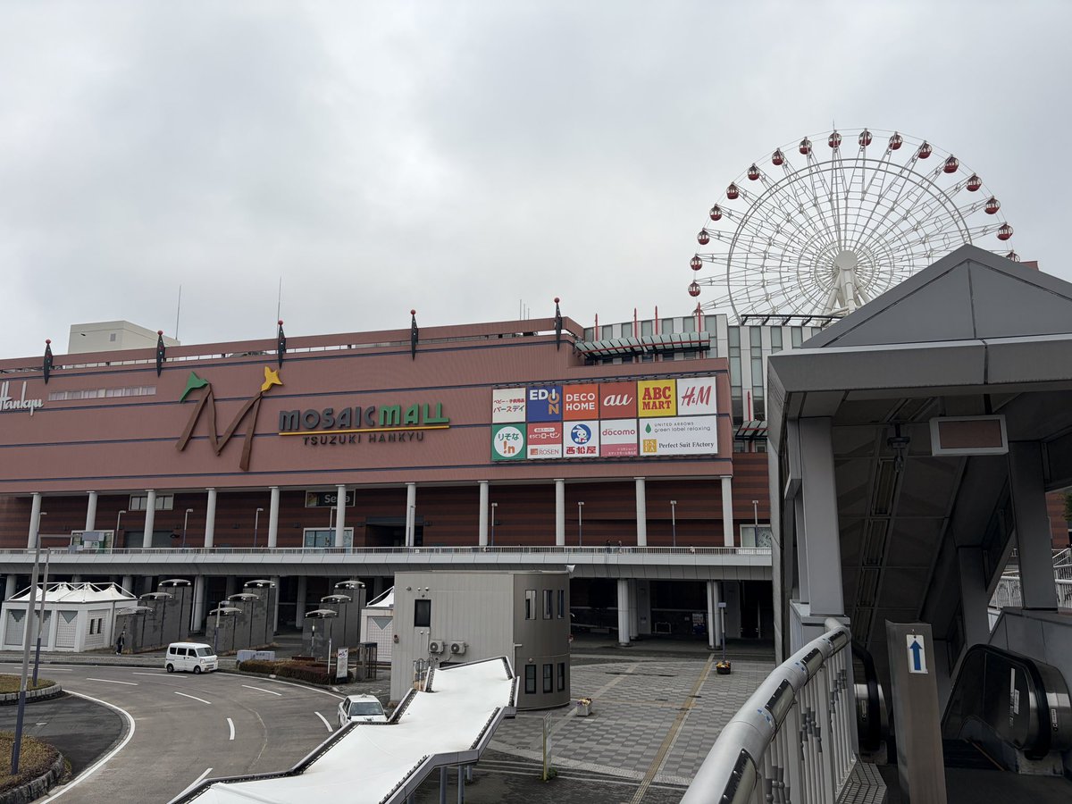 シャイ煮@丁 tweet media