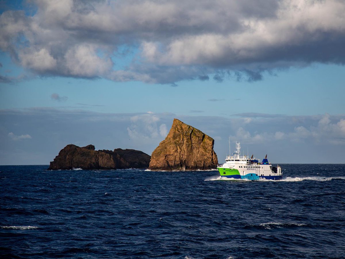 Olivia Rose tweet media