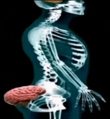 Max 😏 tweet media