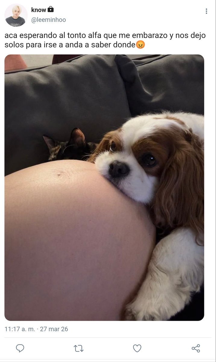 𝑩𝒂𝒓𝒃 ☯ tweet media