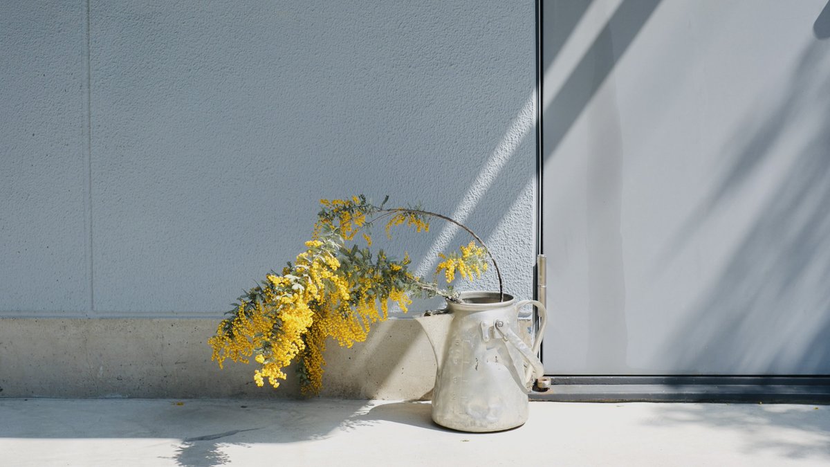 𝙢𝙞𝙞 tweet media