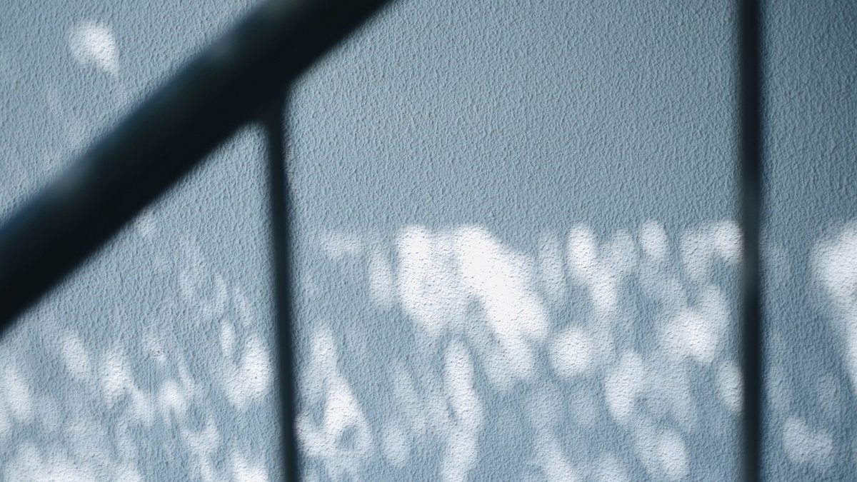 𝙢𝙞𝙞 tweet media