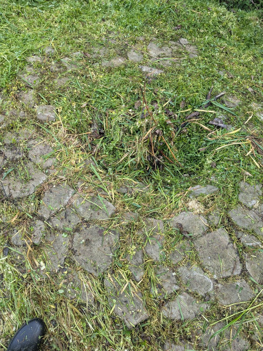 黎明 たか tweet media