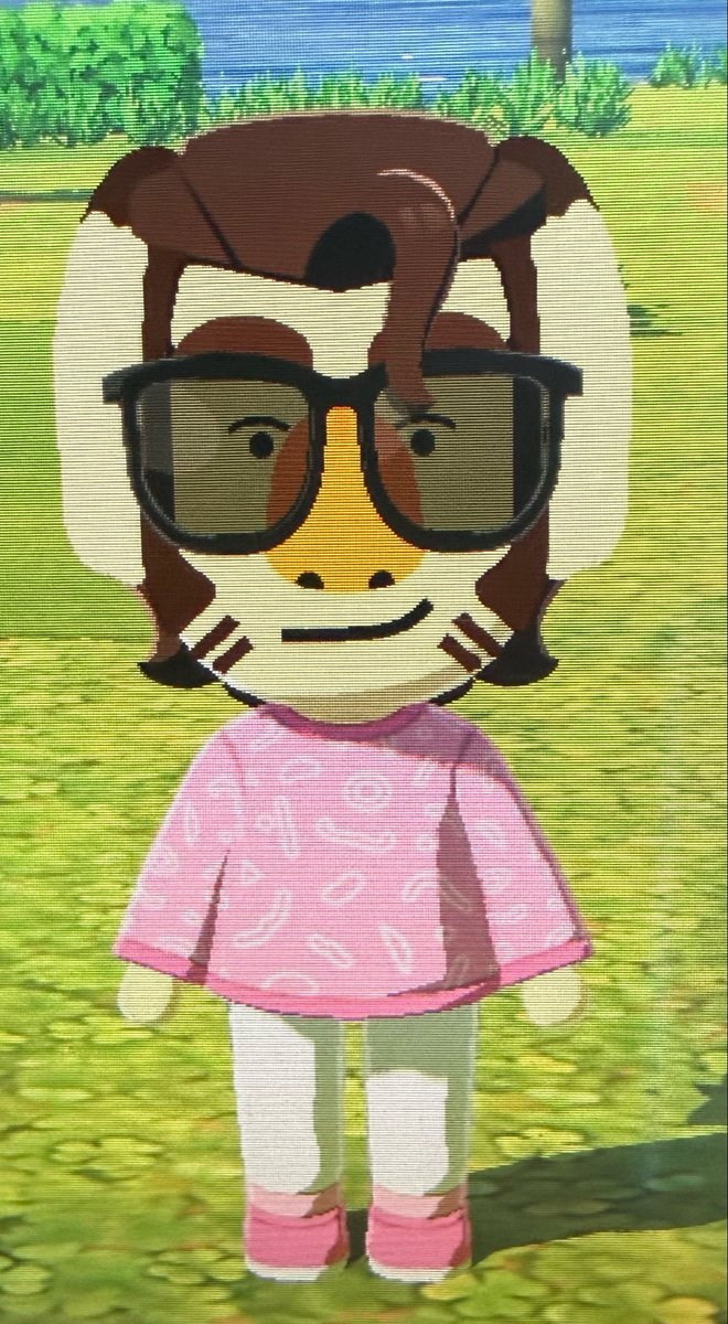 radbunctious's tweet photo. Okay he's actually a koala now https://t.co/y5Dn7V3MSQ
