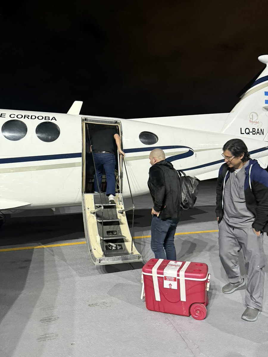 David Consalvi tweet media