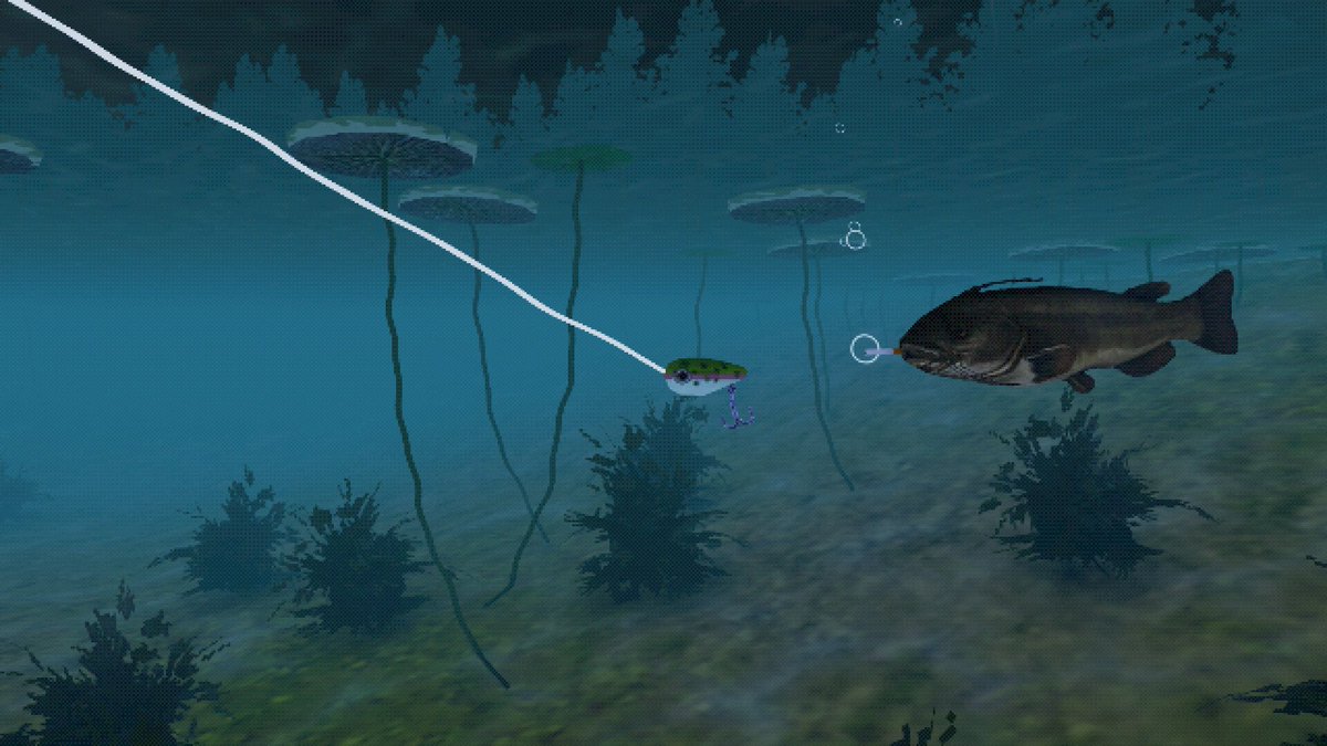 nicolith tweet media