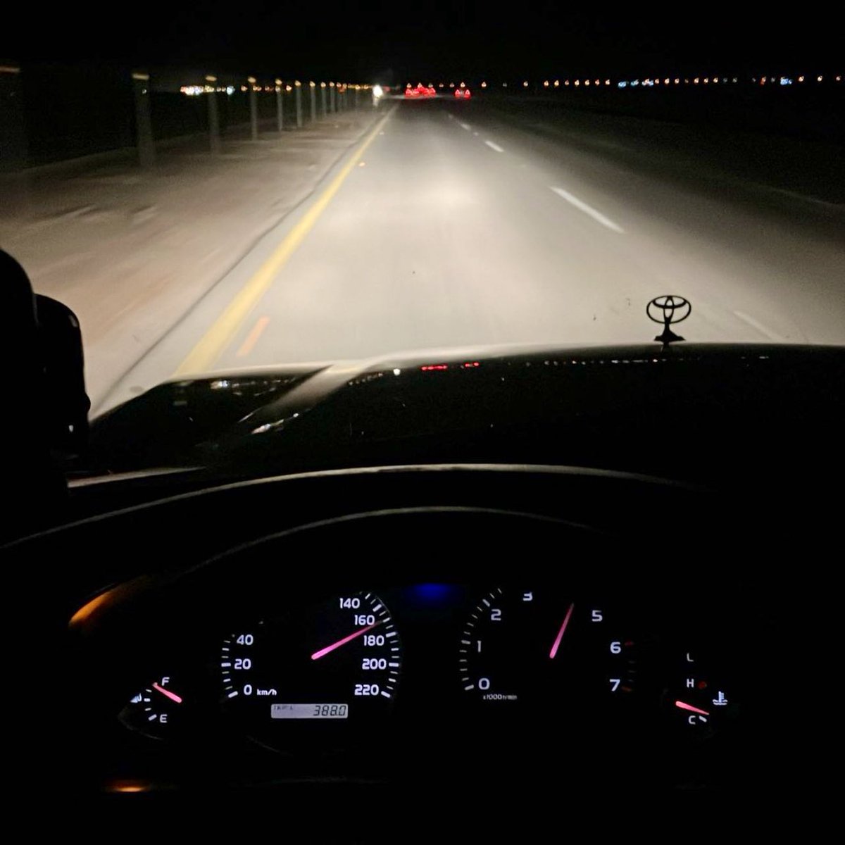 طامي tweet media