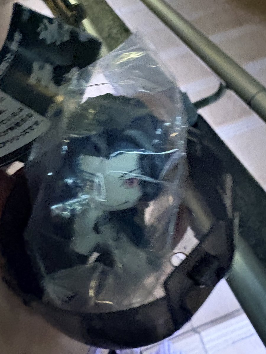 ☀️等身 tweet media