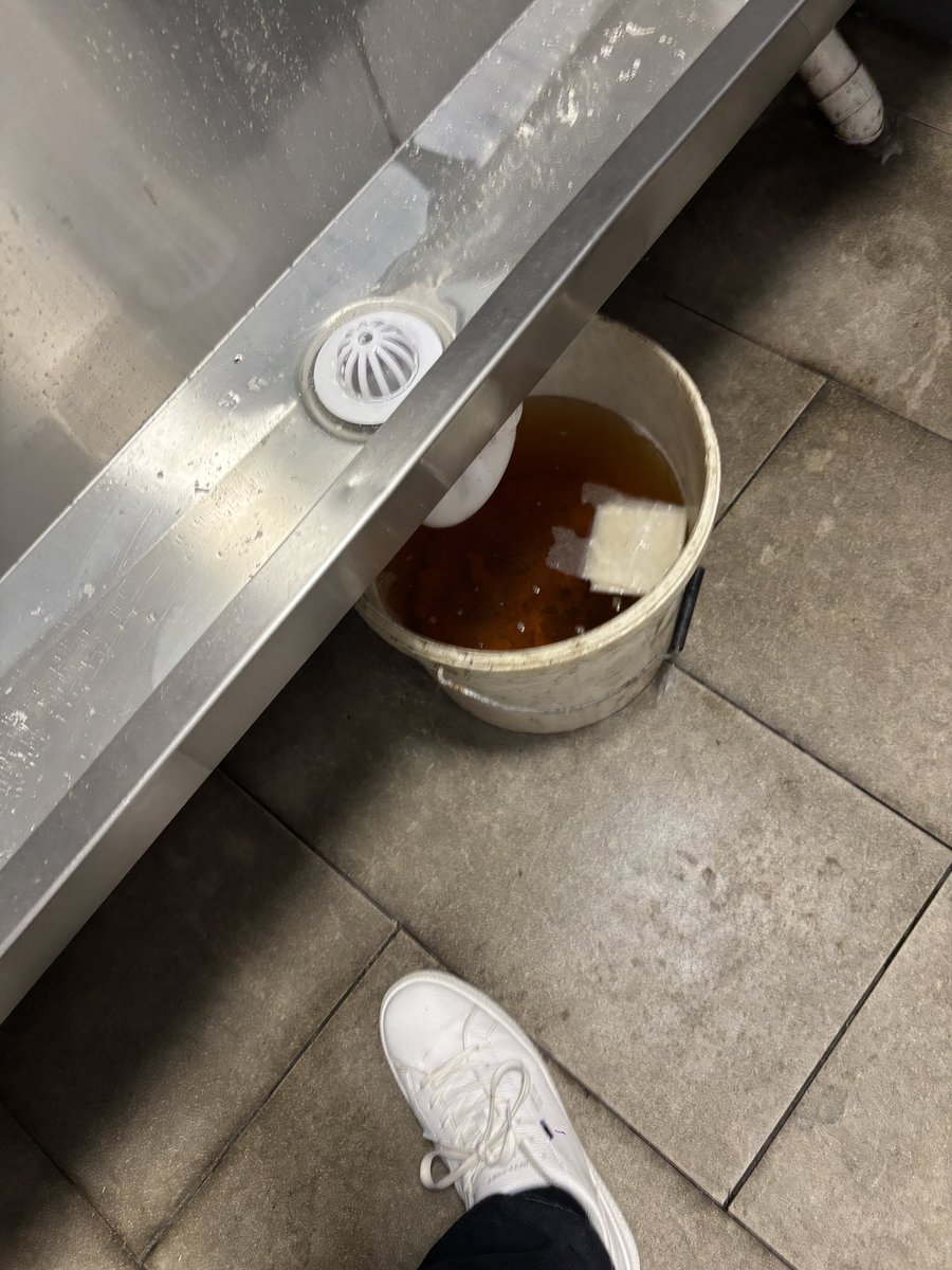 Tigersype tweet media