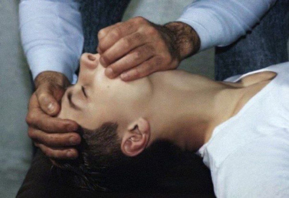 🦌 🦌 tweet media