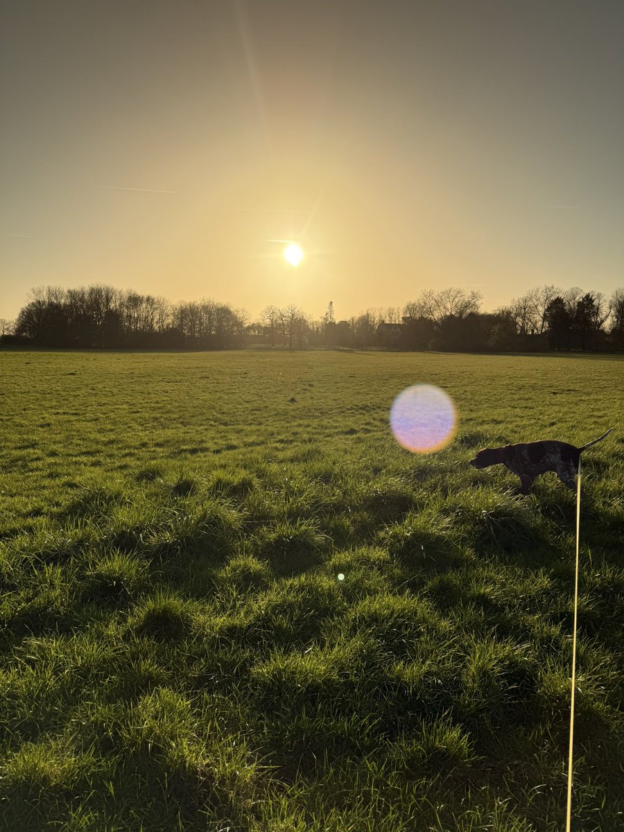 Master Apollo UK tweet media